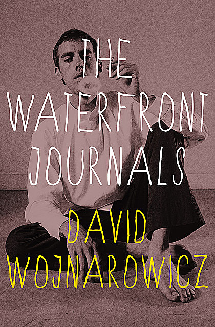 The Waterfront Journals, David Wojnarowicz