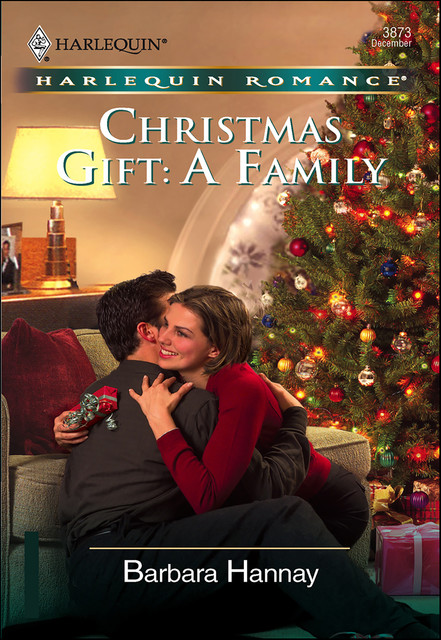 Christmas Gift: A Family, Barbara Hannay