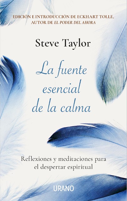 La fuente esencial de la calma, Steve Taylor