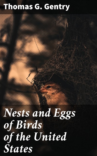 Nests and Eggs of Birds of the United States, Thomas G. Gentry