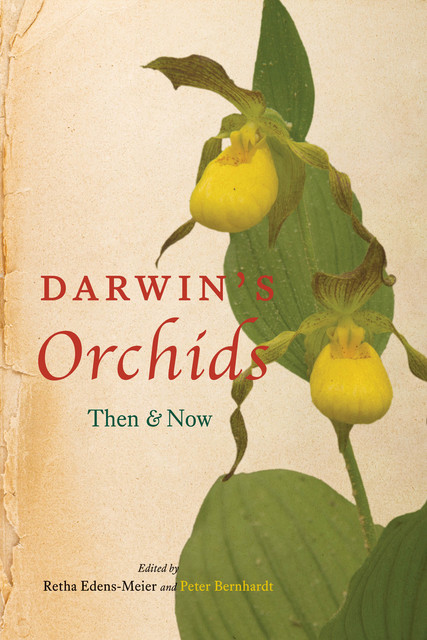 Darwin's Orchids, Peter Bernhardt, Retha Edens-Meier