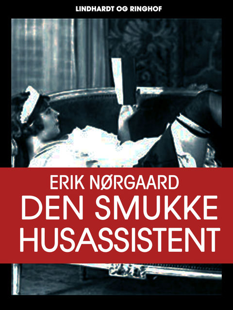 Den smukke husassistent, Erik Nørgaard
