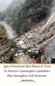 Agro Forestrium Best Plants & Trees To Prevent Catastrophic Landslides Plus Strengthen Soil Structure, Agro Forestrium