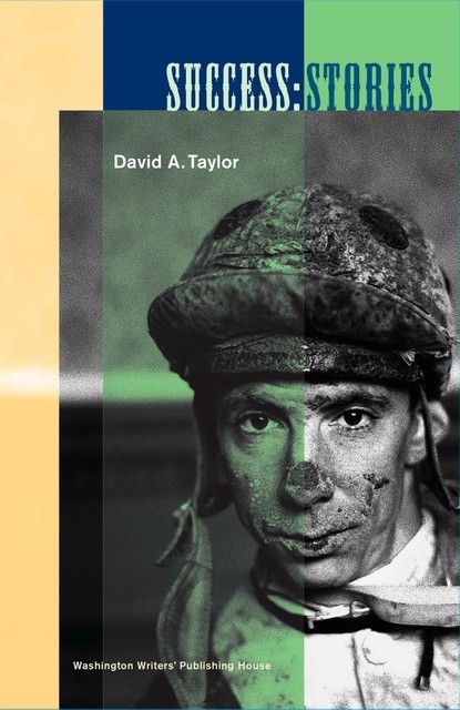 Success: Stories, David Taylor