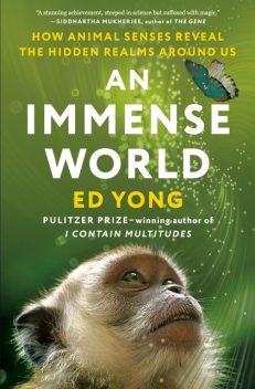 Immense World : How Animal Senses Reveal the Hidden Realms Around Us, Ed Yong