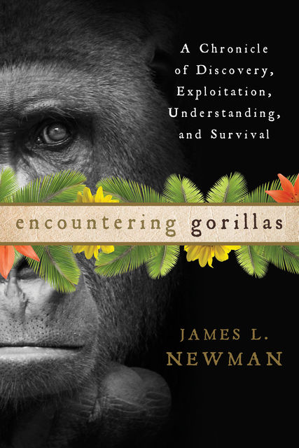 Encountering Gorillas, James Newman