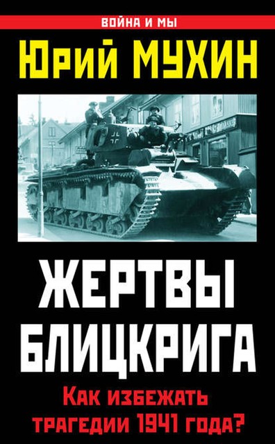 Жертвы Блицкрига. Как избежать трагедии 1941 года?, Юрий Мухин