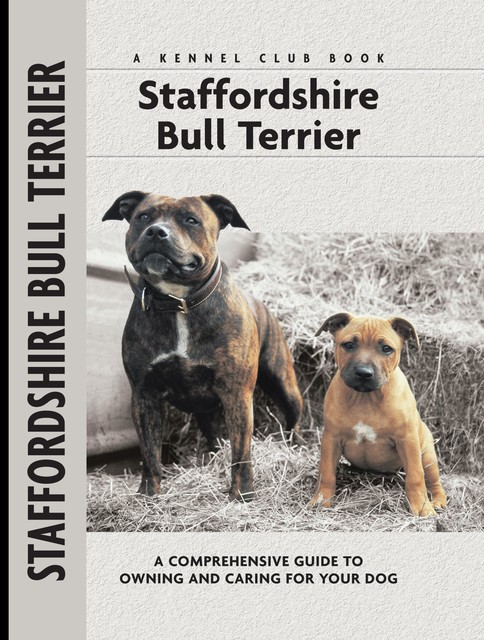 Staffordshire Bull Terrier, Jane Hogg Frome