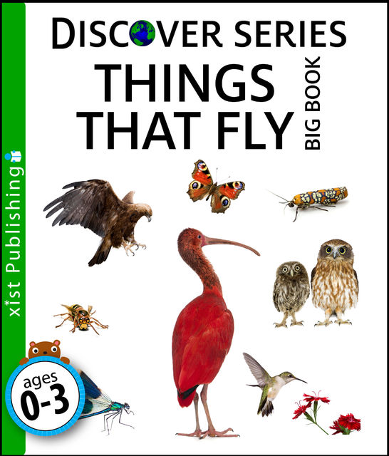 Things That Fly Big Book, Xist Publishing