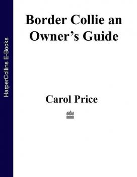 Border Collie, Carol Price