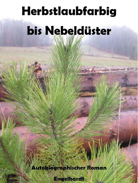 Herbstlaubfarbig bis Nebeldüster, Michael Engelhardt