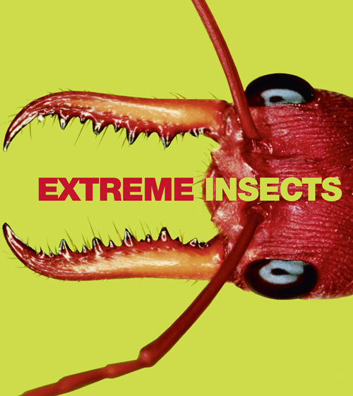 Extreme Insects, Richard Jones