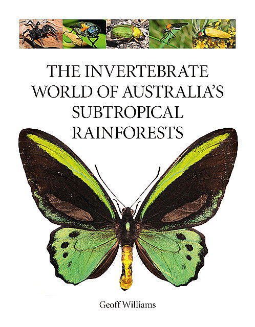 The Invertebrate World of Australia's Subtropical Rainforests, Geoff Williams
