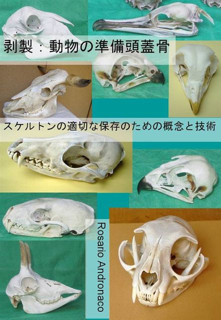 剥製：動物の準備頭蓋骨 – タクシダーミー・プレパレーション・スカルズ・オブ・アニマルズ, Rosario Andronaco
