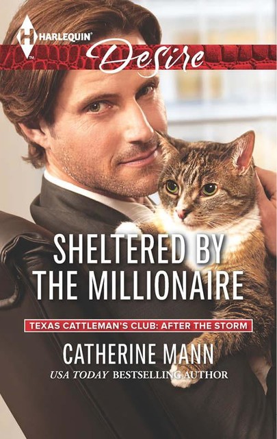 Sheltered by the Millionaire, Catherine Mann