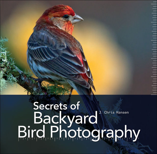 Secrets of Backyard Bird Photography, J.Chris Hansen