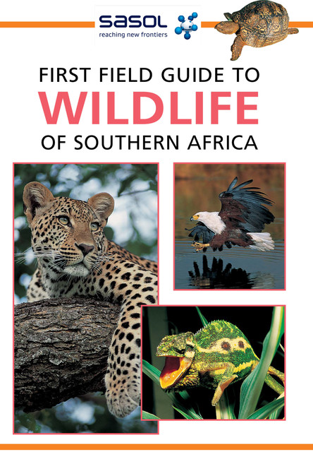 First Field Guide to Wildlife of Southern Africa, Sean Fraser