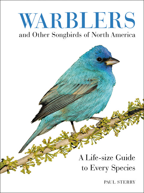 Warblers and Other Songbirds of North America, Paul Sterry