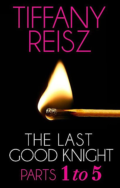 The Last Good Knight, Tiffany Reisz