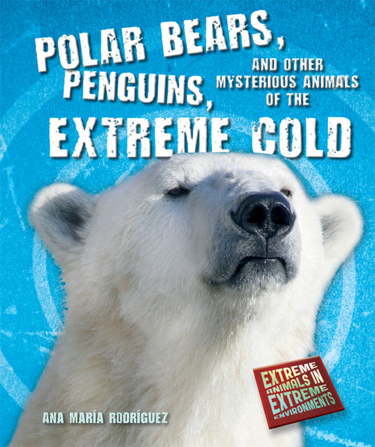 Polar Bears, Penguins, and Other Mysterious Animals of the Extreme Cold, Ana María Rodríguez