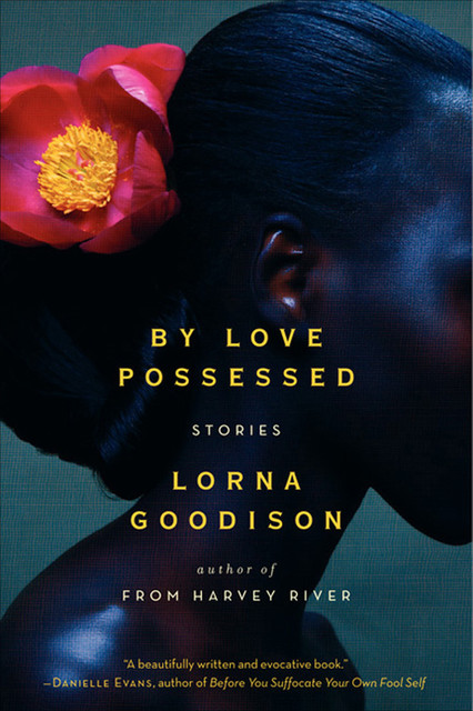 By Love Possessed, Lorna Goodison