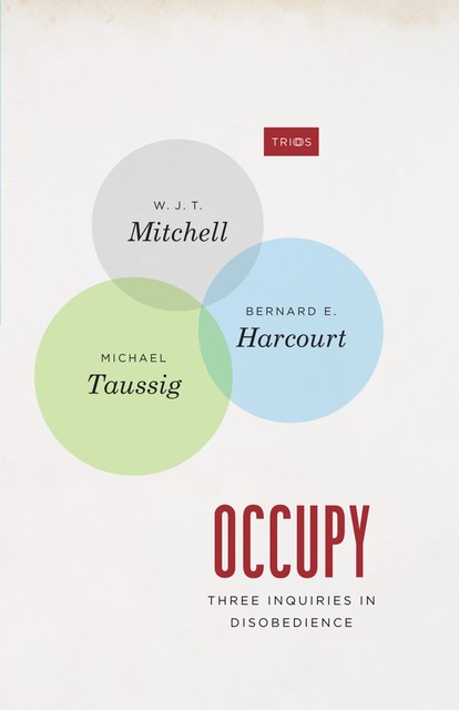 Occupy, Bernard Harcourt, W.J. T. Mitchell, Michael Taussig