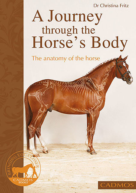 A journey through the horse's body, Christina Fritz