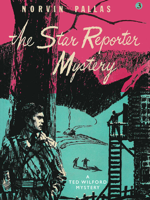 The Star Reporter Mystery, Norvin Pallas