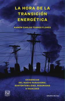 La hora de la transición energética, Ramón Carlos Torres Flores