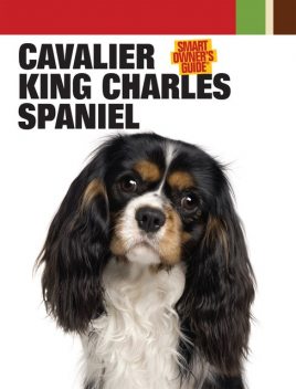 Cavalier King Charles Spaniel, Dog Fancy Magazine