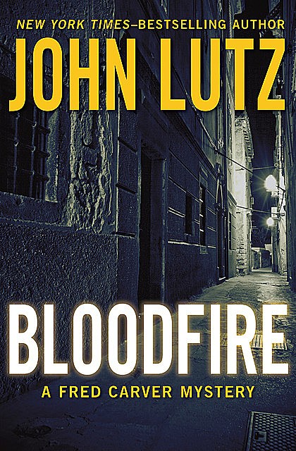 Bloodfire, John Lutz