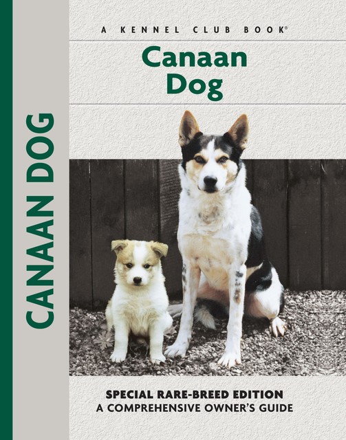 Canaan Dog, Joy Levine