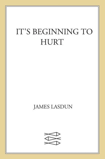 It's Beginning to Hurt, James Lasdun