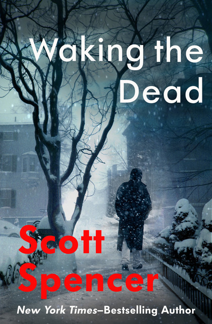 Waking the Dead, Scott Spencer