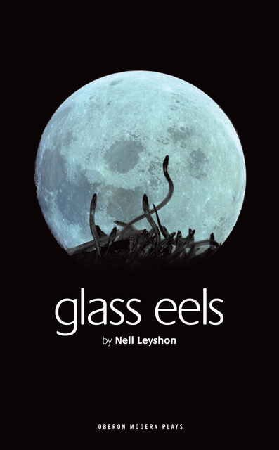 Glass Eels, Nell Leyshon