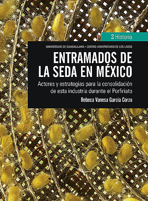 Entramados de la seda en México, Rebeca Vanesa García Corzo