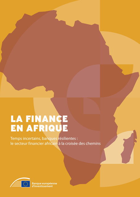 La finance en Afrique, Banque européenne d’investissement