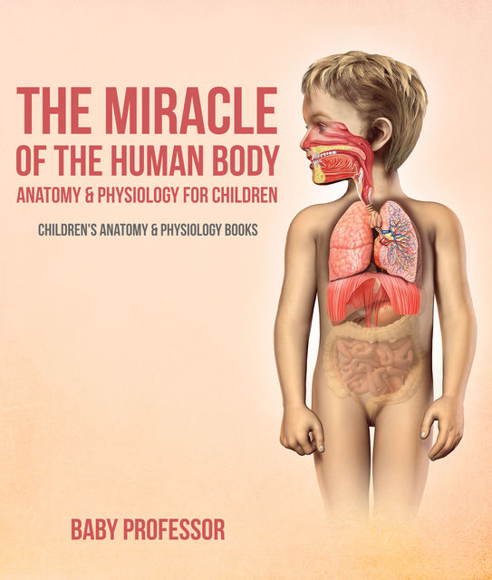 The Miracle of the Human Body: Anatomy & Physiology for Children - Children's Anatomy & Physiology Books, Baby Professor
