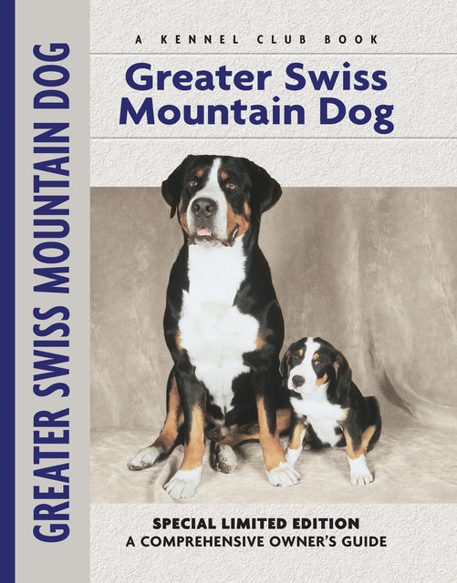 Greater Swiss Mountain Dog, Nikki Moustaki