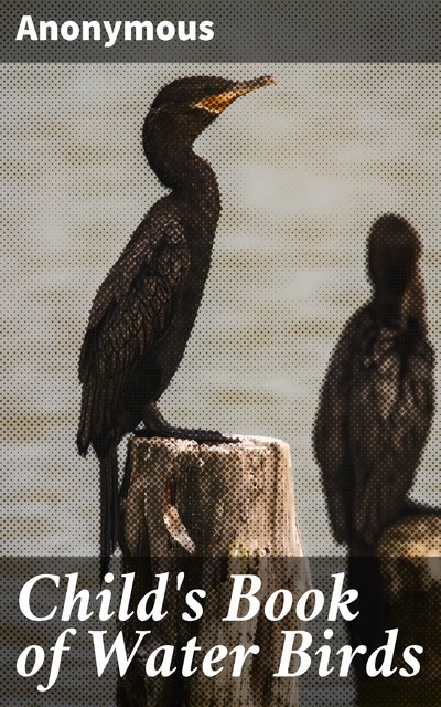 Child's Book of Water Birds, 