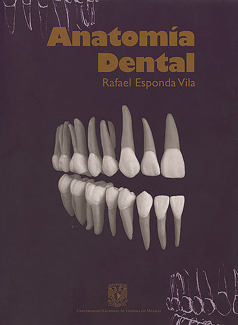 Anatomía dental, Rafael Esponda Vila
