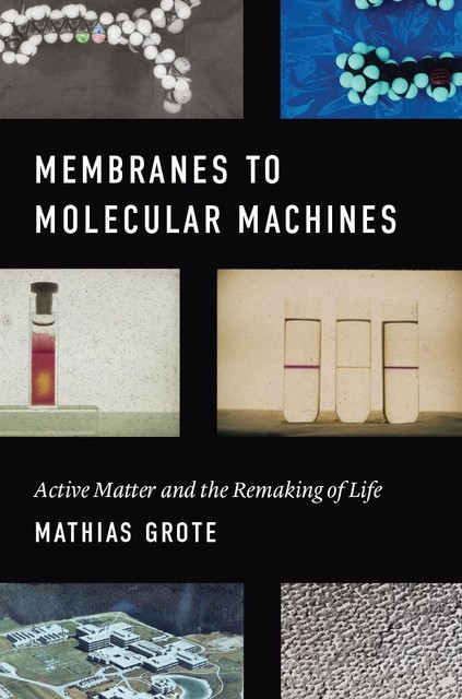 Membranes to Molecular Machines, Mathias Grote