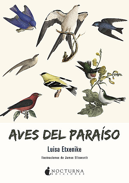 Aves del paraíso, Luisa Etxenike