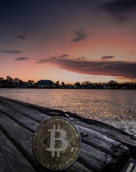 Gratis Bitcoin verdienen, Roger Maley