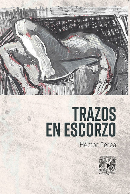 Trazo en escorzo, Héctor Perea