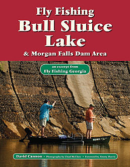Fly Fishing Bull Sluice Lake & Morgan Falls Dam Area, David Cannon