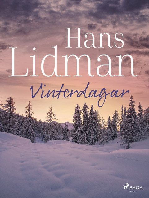 Vinterdagar, Hans Lidman