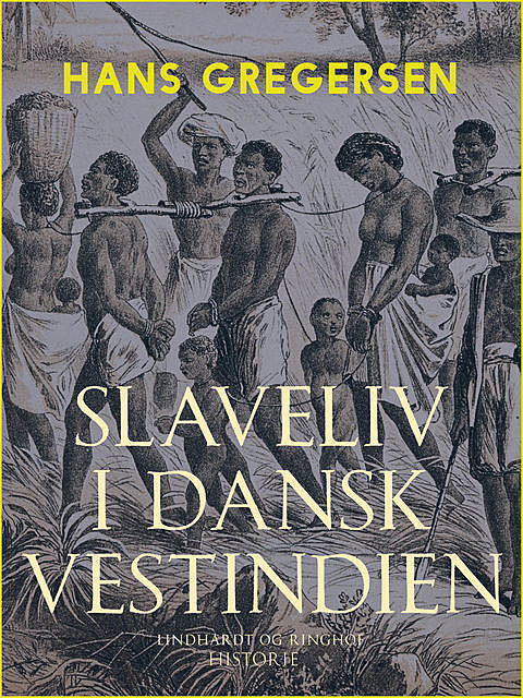 Slaveliv i Dansk Vestindien, Hans Gregersen