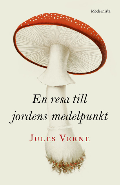 En resa till jordens medelpunkt, Jules Verne