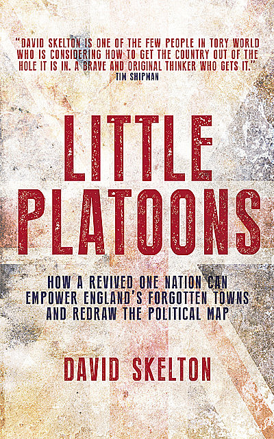 Little Platoons, David Skelton